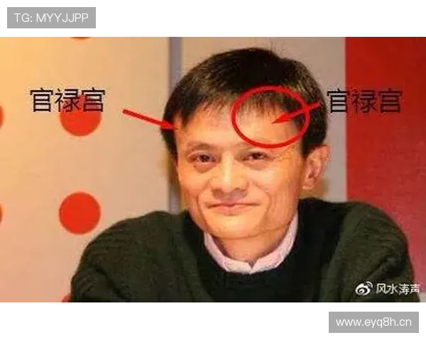 企业家面相解析：如何通过面相判断一个人的商业潜力与成功指数